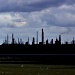 Fawley Oil Refinery by seanoneill