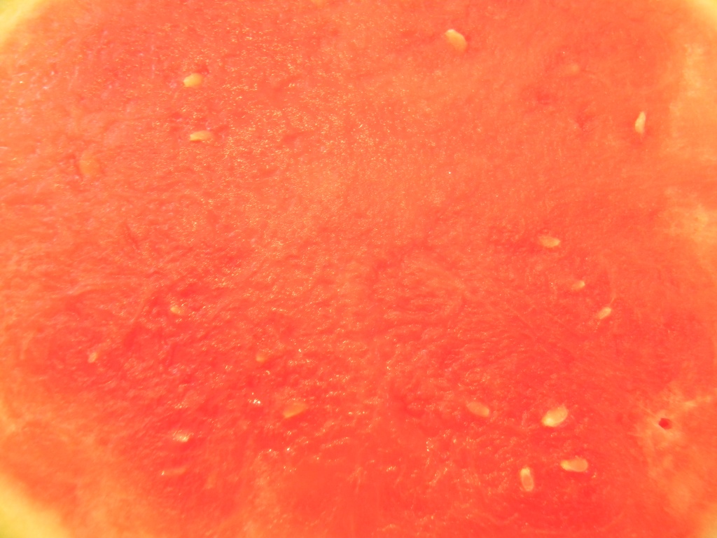 Watermelon Texture 6.9.12 by sfeldphotos