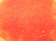 9th Jun 2012 - Watermelon Texture 6.9.12
