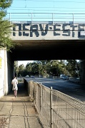 30th May 2012 - Texting Under the Graffiti