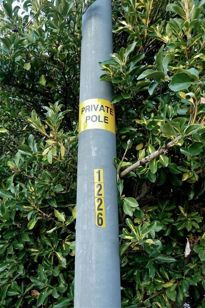 Private Pole? by kjarn