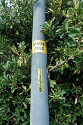31st May 2012 - Private Pole?