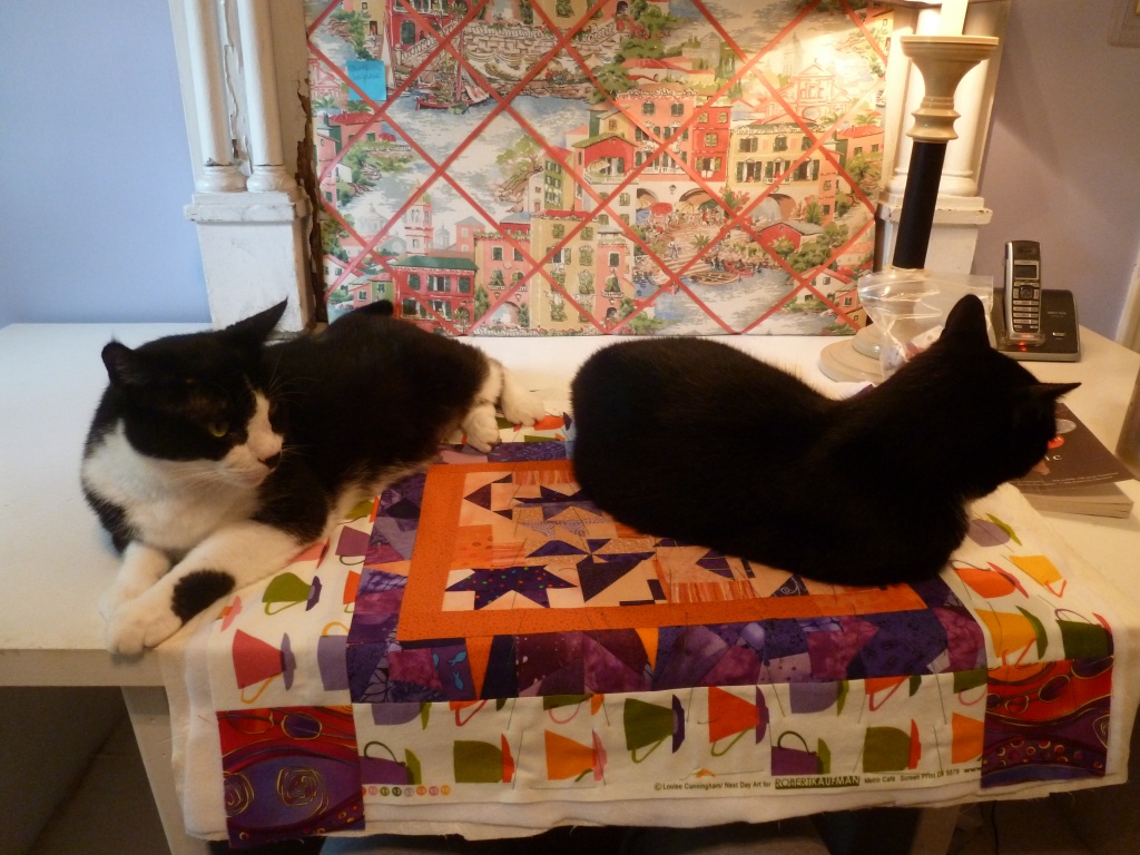 No kidding, cats really do like quilts. by margonaut