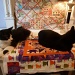 No kidding, cats really do like quilts. by margonaut