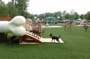 9th Jun 2012 - At the dog park