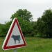 Cow crossing by parisouailleurs