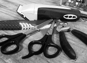 11th Jun 2012 - Tools of my Trade