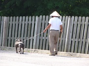 1st Jun 2012 - Chinese Man Walking