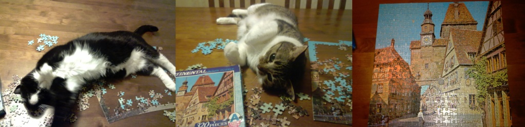 Puzzle by tiss