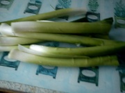 11th Jun 2012 - Leeks harvested from our garden