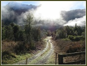 1st Jun 2012 - Country Lane - just outside of Haast in South Island of New Zealand