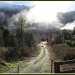 Country Lane - just outside of Haast in South Island of New Zealand by loey5150