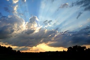 13th Jun 2012 - Evening rays