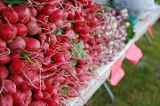 13th Jun 2012 - Farmers Market