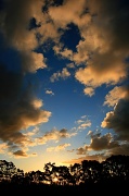 14th Jun 2012 - sundown