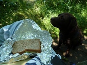14th Jun 2012 - Need any help with that sandwich?