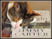 15th Jun 2012 - "Good read" for a cat??   NOT!