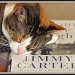 "Good read" for a cat??   NOT! by glimpses