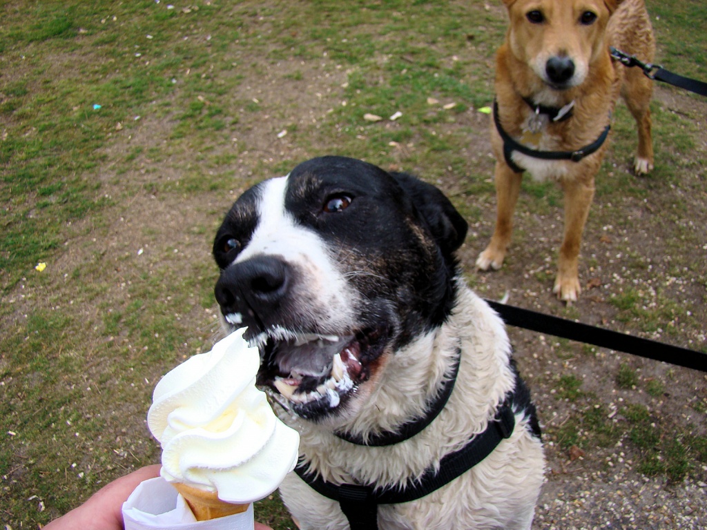 Cara with Ice Cream by bulldog