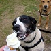 Cara with Ice Cream by bulldog