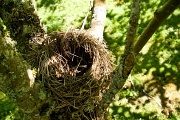 15th Jun 2012 - An Empty Nest Isn't So Bad