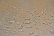 16th Jun 2012 - Droplets