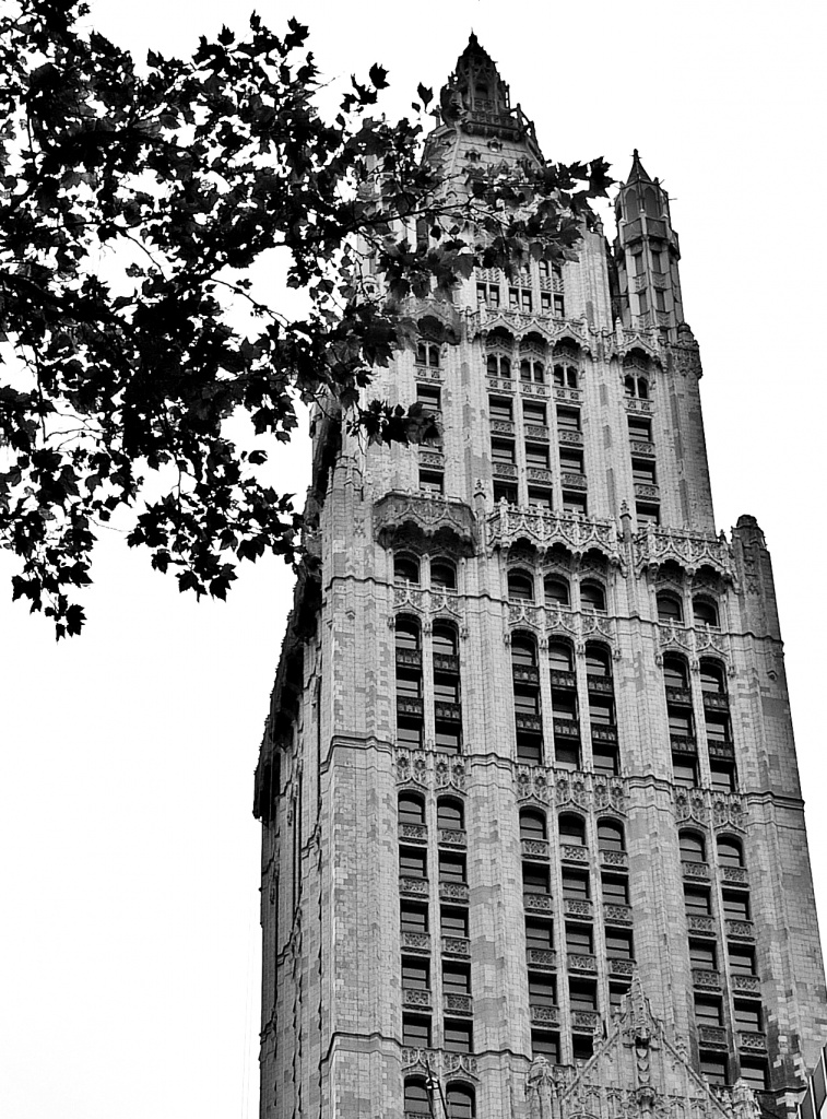Woolworth Building  by soboy5