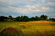 17th Jun 2012 - country side hay farm