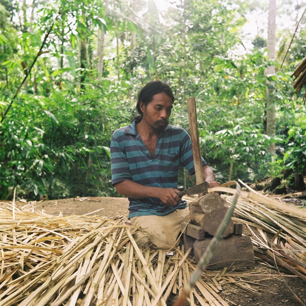 Splitting bamboo by peterdegraaff