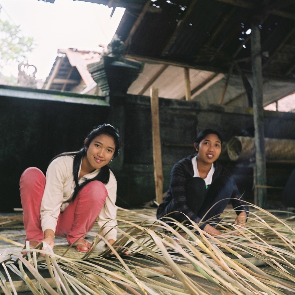 Thatching bamboo by peterdegraaff