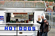 17th Jun 2012 - Whitby Dogs