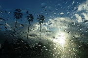 6th Jun 2012 - Rain or sun