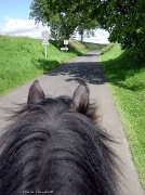 17th Jun 2012 - "Horse-drive"