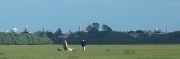 15th Jun 2012 - Port Meadow