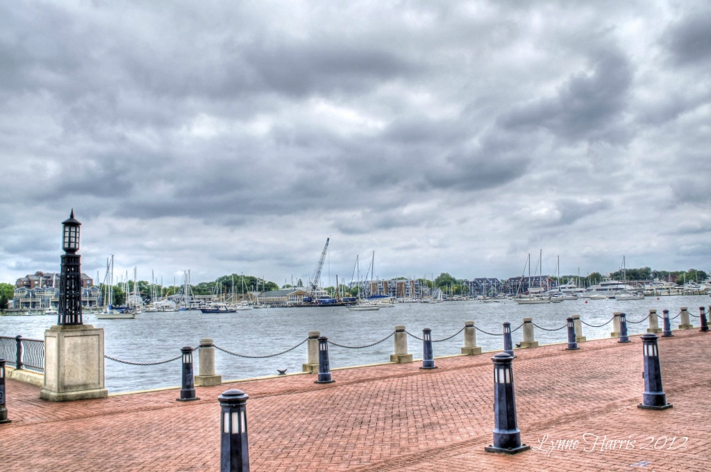 US Naval Academy Harbor by lynne5477