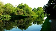 18th Jun 2012 - Reflections with Paddy