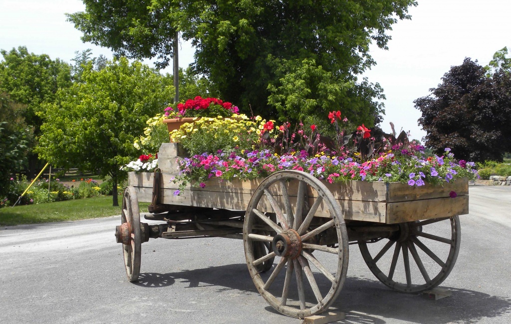 Flower Wagon by sunnygreenwood