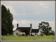 18th Jun 2012 - Across the fields