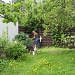 Dog in the garden IMG_7380 by annelis