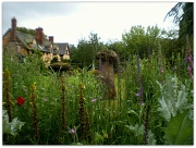 17th Jun 2012 - Cottage garden