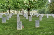 18th Jun 2012 - Arlington National Cemetery