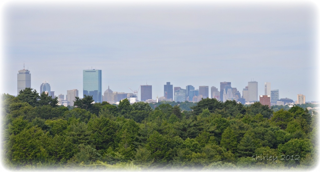 Boston skyline by mjmaven