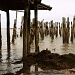 Old Pier by lauriehiggins