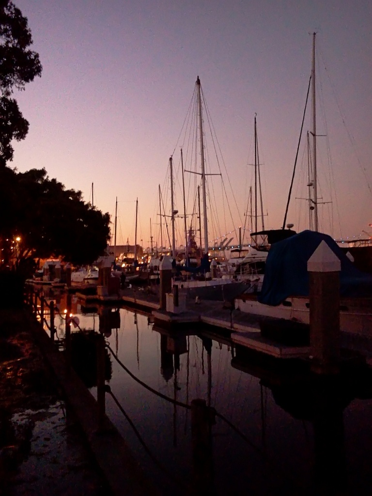 (Day 124) - Harbor by cjphoto