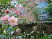 19th Jun 2012 - Forgotten garden
