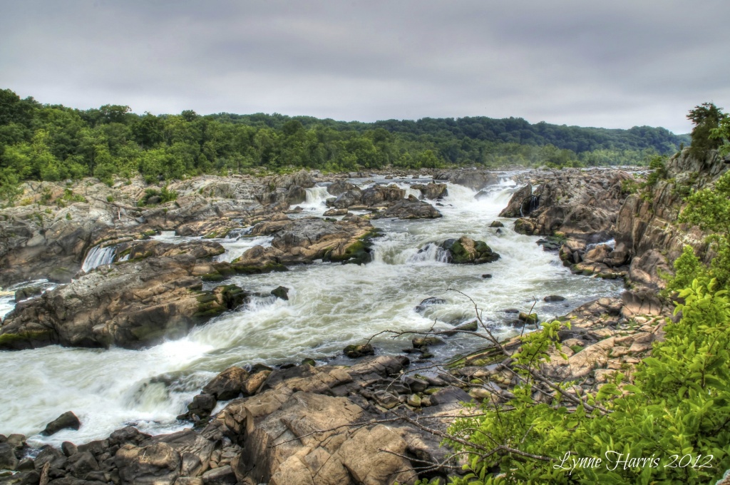 Great Falls of the Potomac River by lynne5477