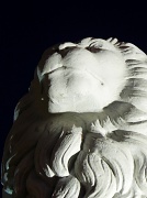 19th Jun 2012 - A Lion to Guard us