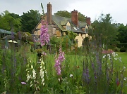 20th Jun 2012 - Cottage garden