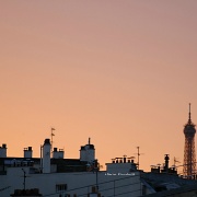 19th Jun 2012 - Pink hour in Paris
