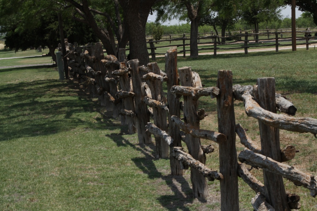 Texas-style fence by judyc57